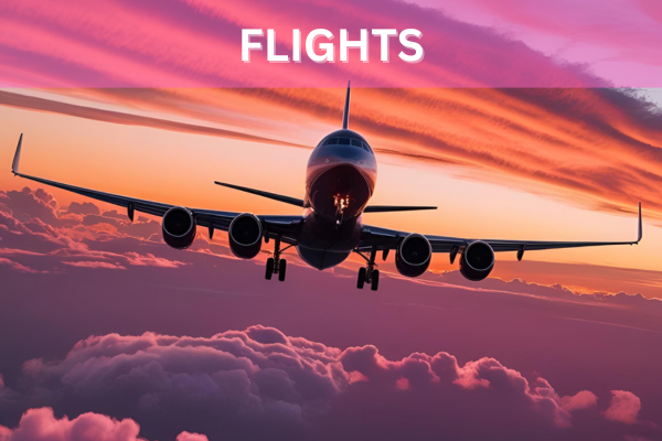 FLIGHTS